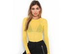 New Spring And Summer Solid Color Sexy Round Neck Long-sleeved Mesh Perspective Women's Shirt T-shirt High-elastic Inner Bottoming